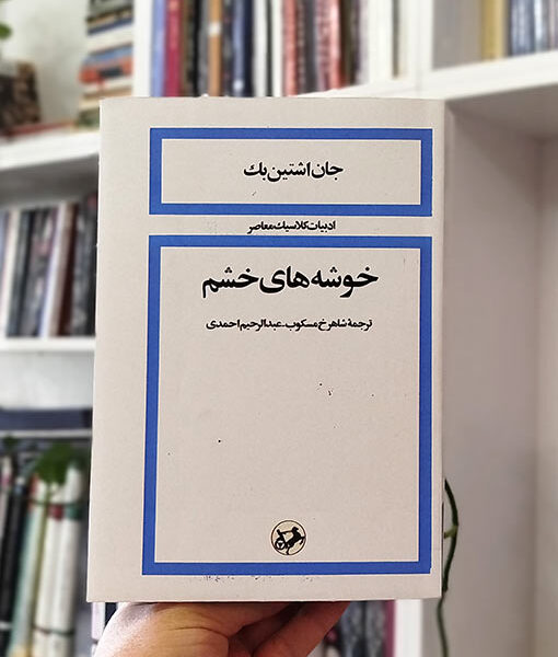 خوشه‌های خشم