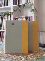 خرید دن کیشوت محمد قاضی نشر جامی