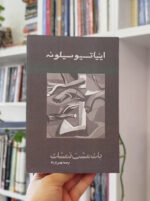 خرید یک مشت تمشک