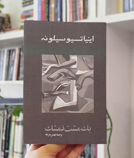 خرید یک مشت تمشک