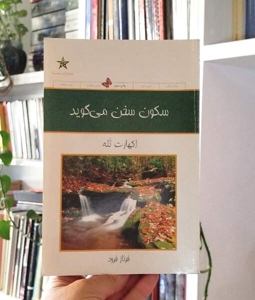 سکون سخن می گوید