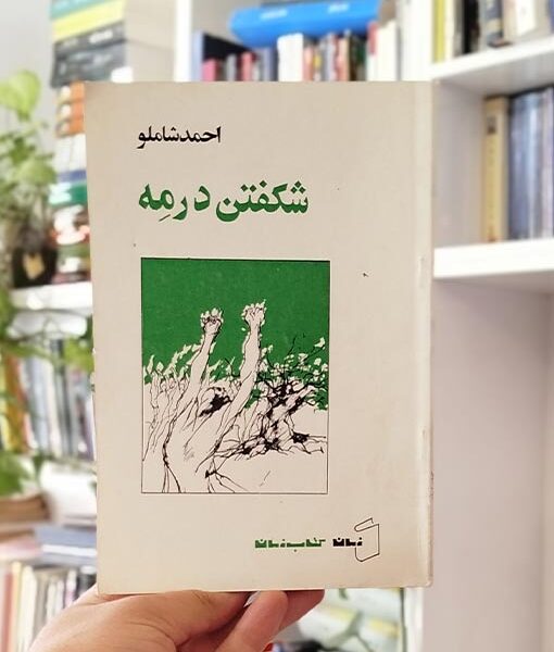 کتاب شکفتن در مه احمد شاملو